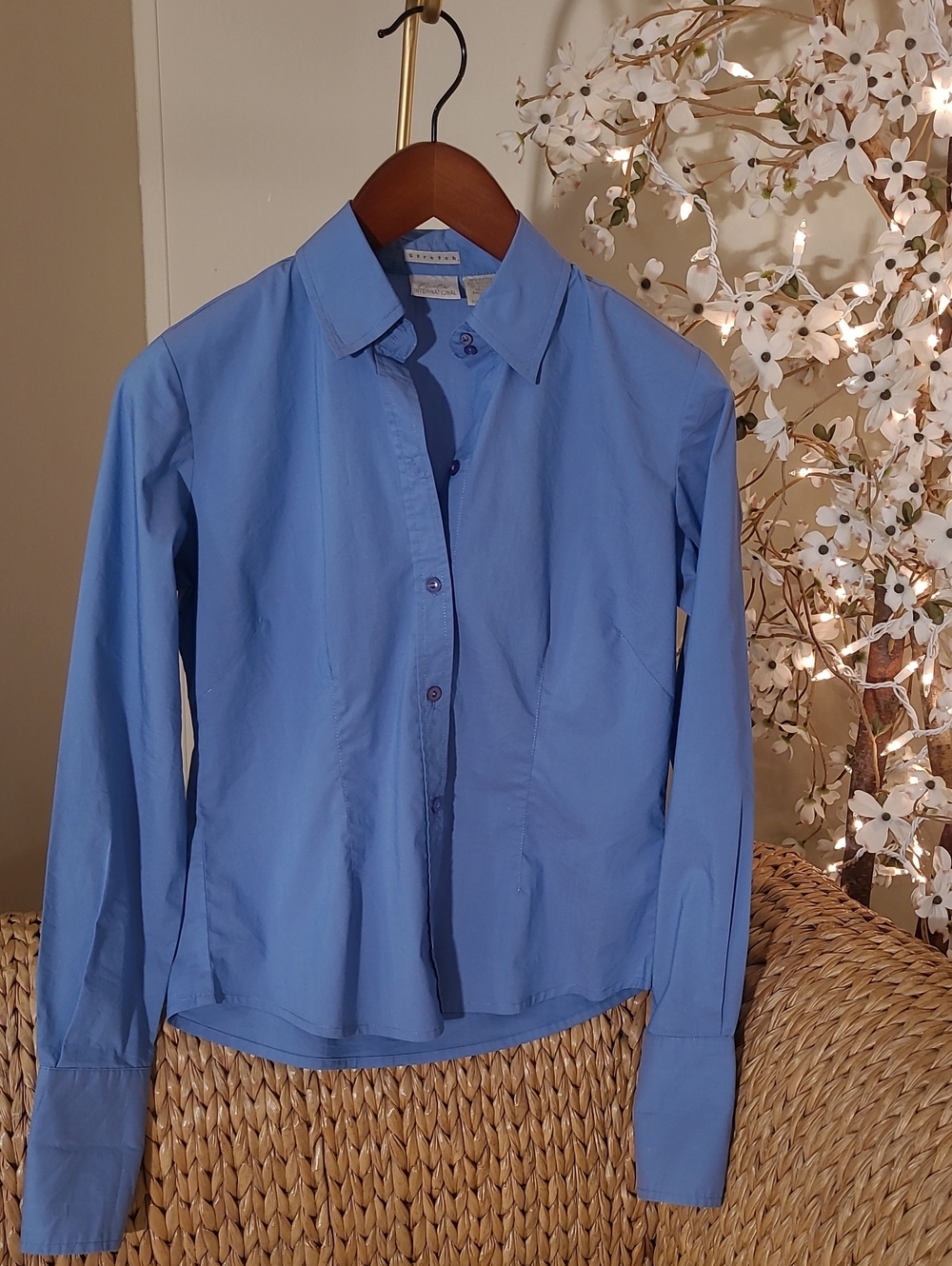 Light Blue Fitted Blouse